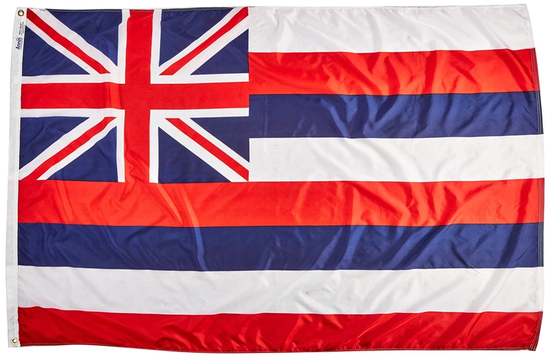 Annin Flagmakers 141270 State Flag, 4x6', not_applicable