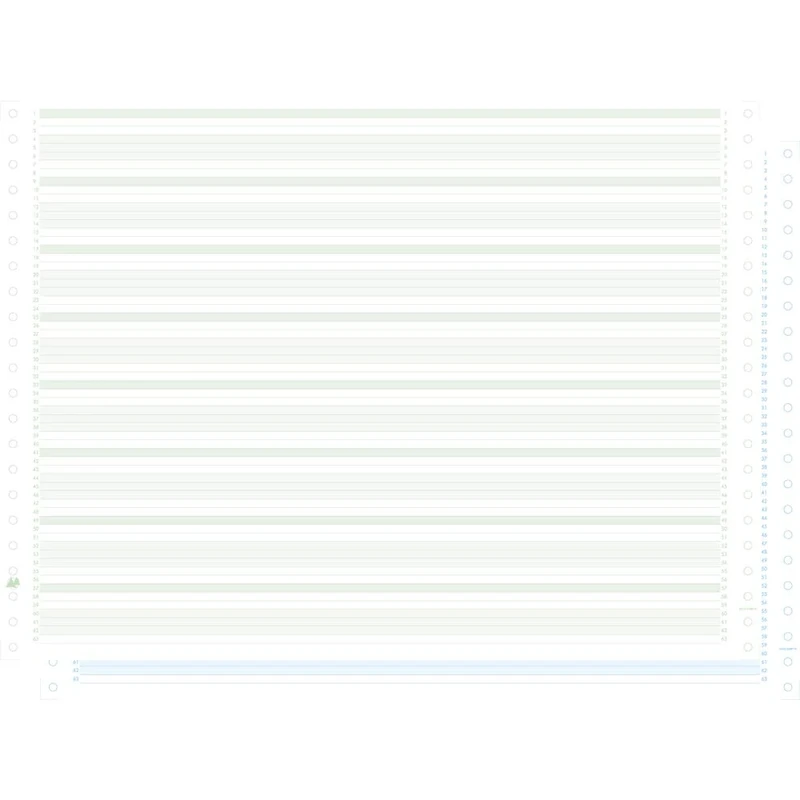 Exacompta 63612E 1000 Feuilles de Listing Autocopiant Zone Vert/Bleu 380 X 11 Bandes Caroll Non Detachables