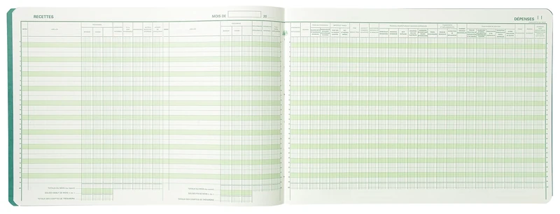 Exacompta - Ref. 9620E - 1 stitch Diary of Income and Expenses of the Liberal Professions - 80 foliated pages - format 270 x 380 mm - 4 random colours, yellow, blue, red, green