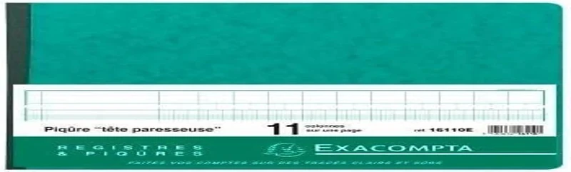 Exacompta - Ref 16110E - A4+ Horizontal Account Book (80 Pages) - 270 x 320mm in Size, Horizontal Format, 11 Columns on 1 Page, 28 Lines - Random Colour (French)