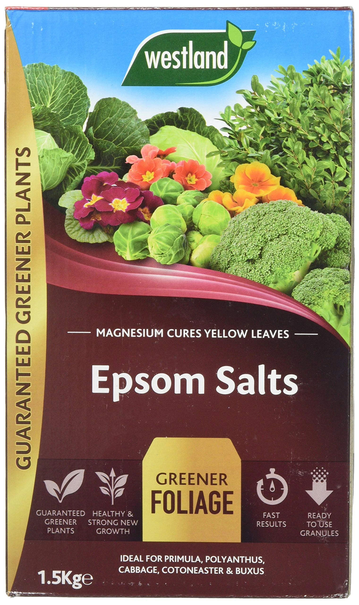 Westland 20600007 1.5 kg Epsom Salts Foliage Greener Fertilizer - Transparent