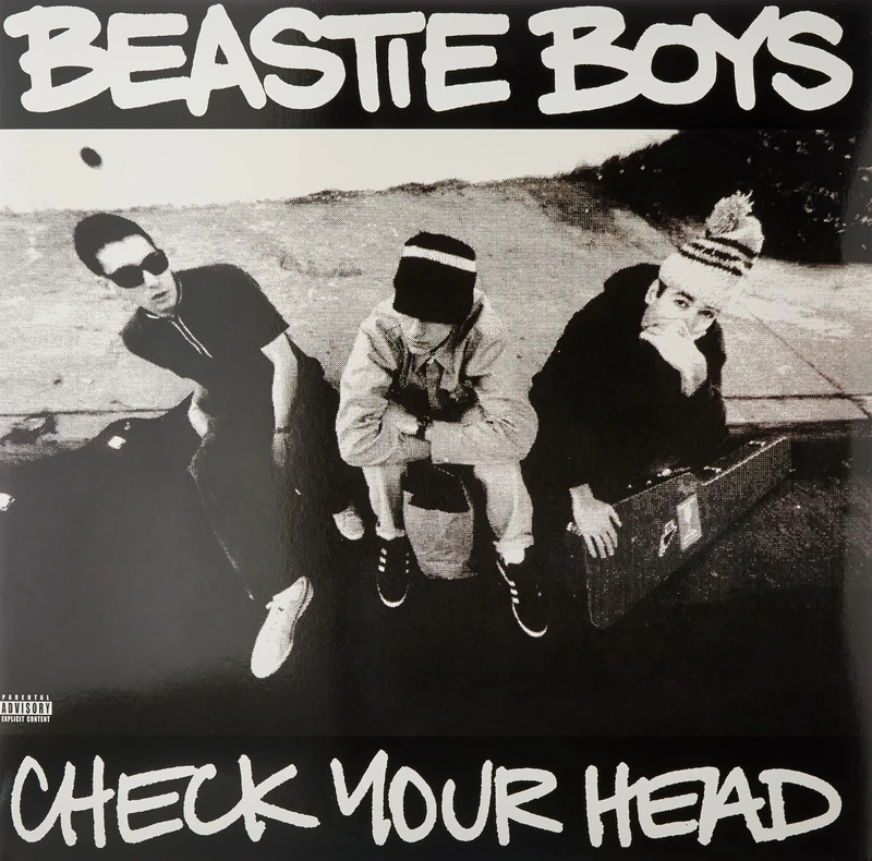 Check Your Head [VINYL]