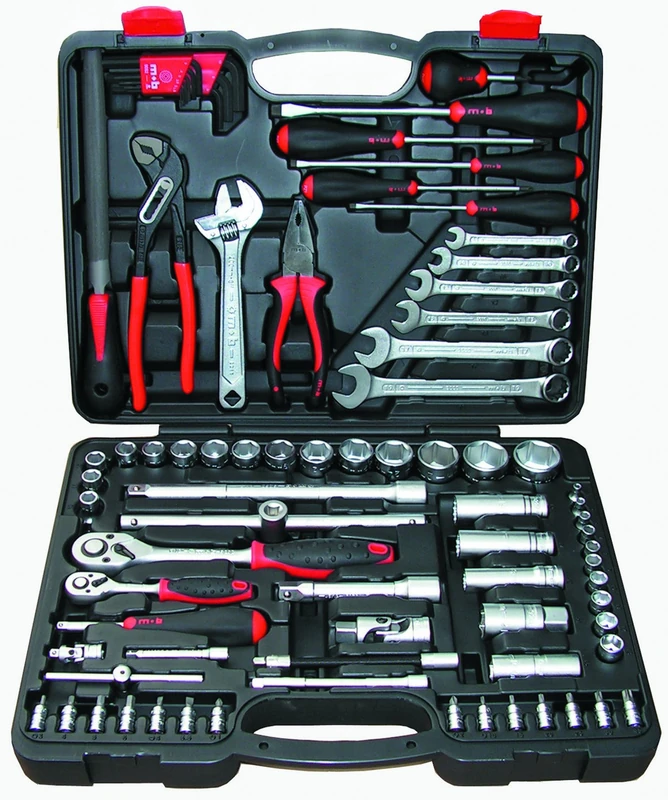 Peddinghaus 9531081001 Socket Spanner Set 1/4 inch to 1/2 inch in Plastic Case 81 Pieces