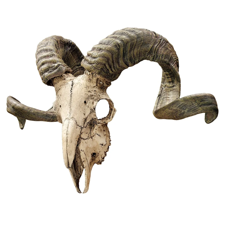 Design Toscano CL3377 Corsican Ram Skull and Horns Wall Sculpture Faux Taxidermy Animal, 45.75 cm, Polyresin, Full Color