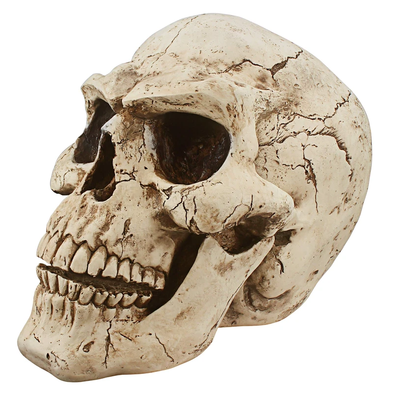 Design Toscano Sinister Simon Giant Skull Sculpture - Image 1