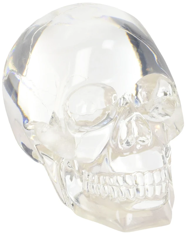SUMMIT COLLECTION Clear Translucent Skull Collectible Figurine