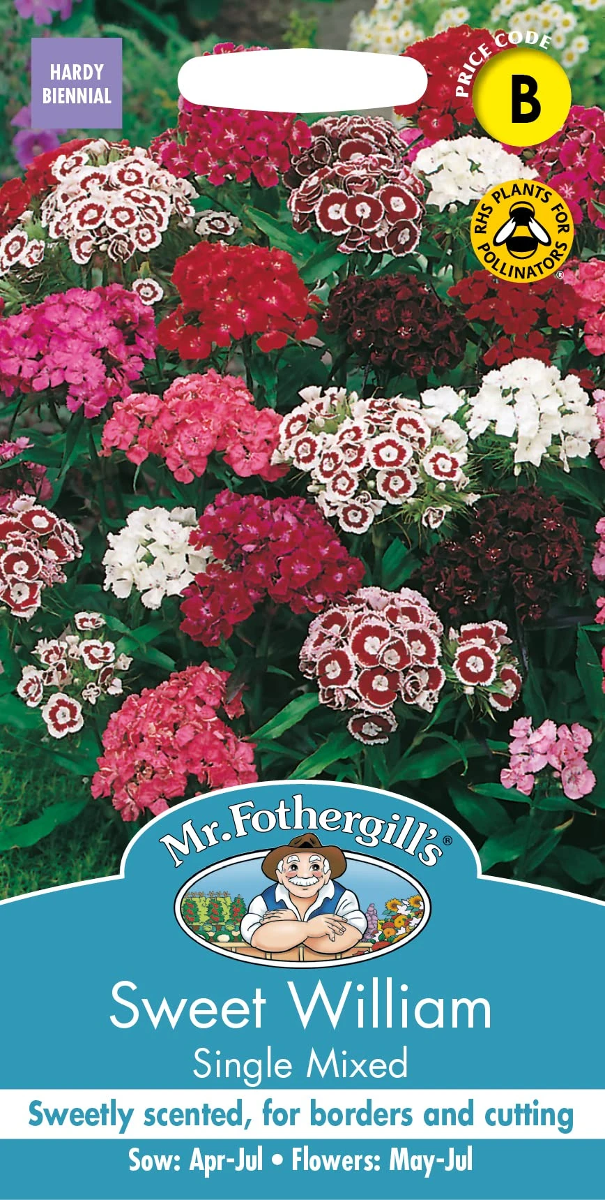 Mr Fothergill's 18005 Flower Seeds, Sweet William Single Mixed