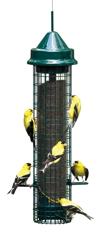 Squirrel Buster Finches Squirrel Proof Bird Feeder with 4 Metal Poles & 8 Feeding Openings, 2.5 lb Thistle/Nyjer Seed Capacity