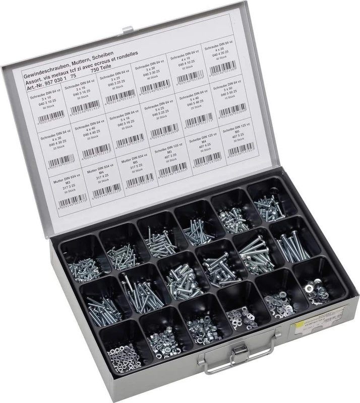 SWG 750 Pieces 957030175 Threaded Screw Assortment 1 Set