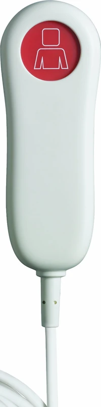 GIRA 295500 Birn Button Call System 834