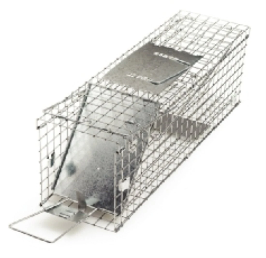 Pest-Stop Rabbit Cage Trap – Humane Trap for Rabbits and Similar Animals – Galvanised Steel, Spring-Loaded Door, Safe Handling – Reusable, Indoor & Outdoor Use