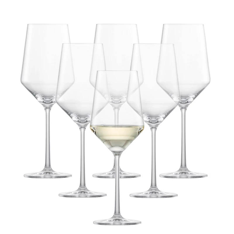 Schott Zwiesel 0026.120408 Pure wine glass set, transparent, 6-piece