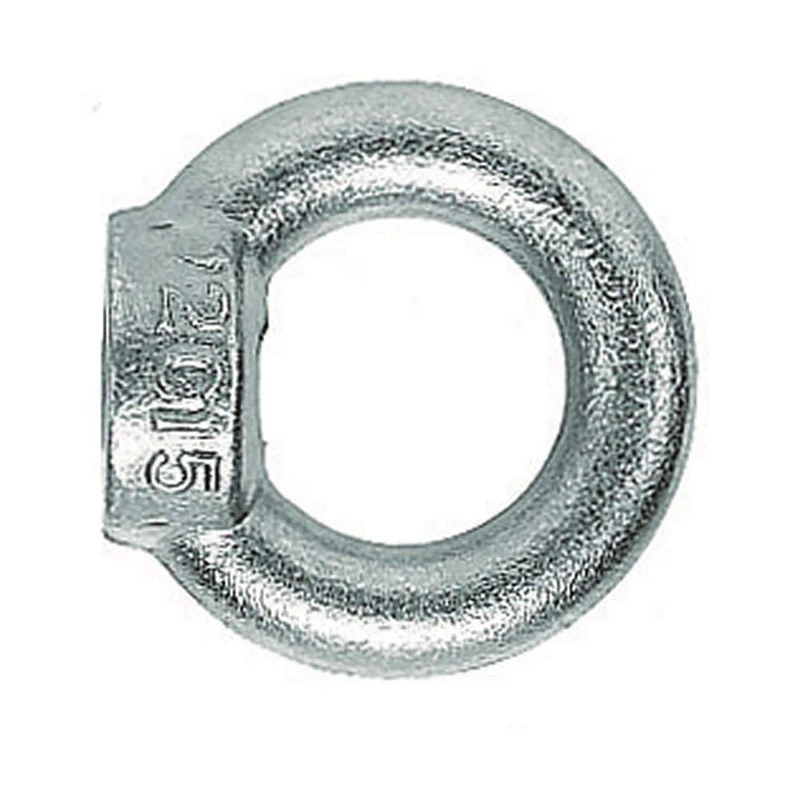 Fischer 80842 Ring Nuts Ri M 10