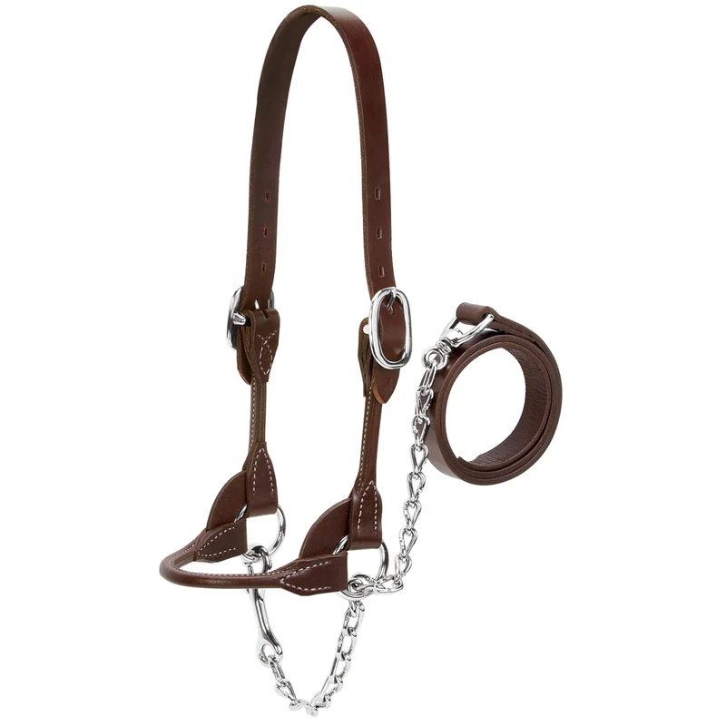 Weaver Leather Livestock Dairy/Beef Rounded Show Halter Brown,Small