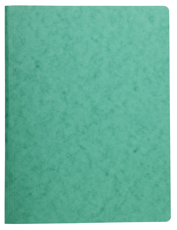 Exacompta - Ref. 240195E - Case of 25 spring folders luster map 410gm future nature - a4 - Image 1