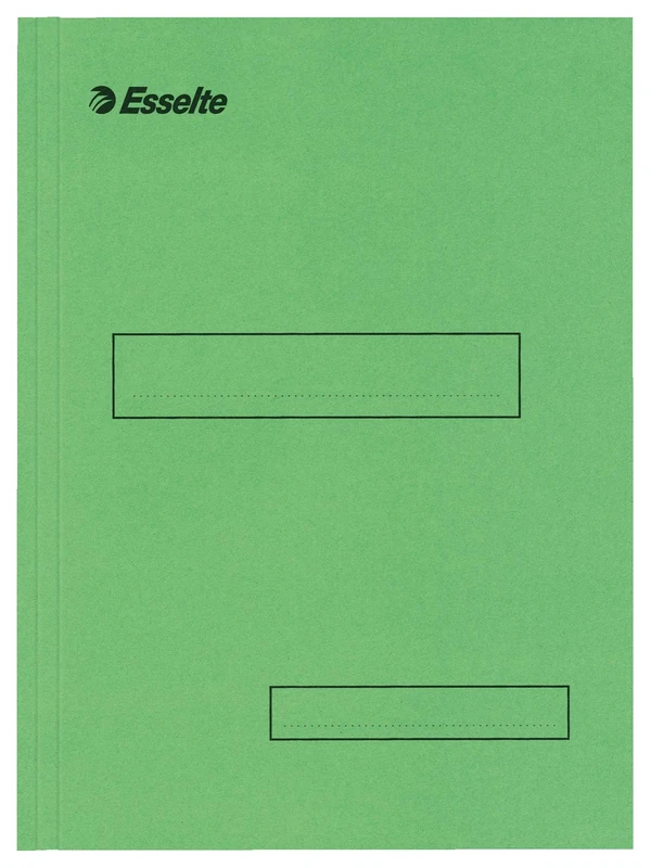 Esselte Box of 100 Folders with 2 Flaps for Filing Cabinets 160 g Green