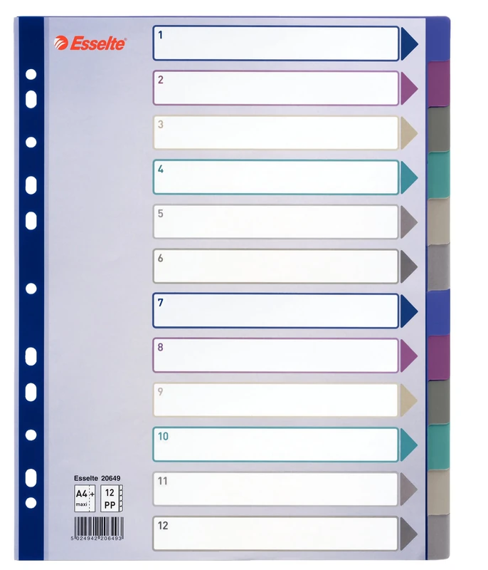 Esselte Indexed Dividers Maxi Format Polypropylene Set of 12 Tabs Assorted Colours Translucent