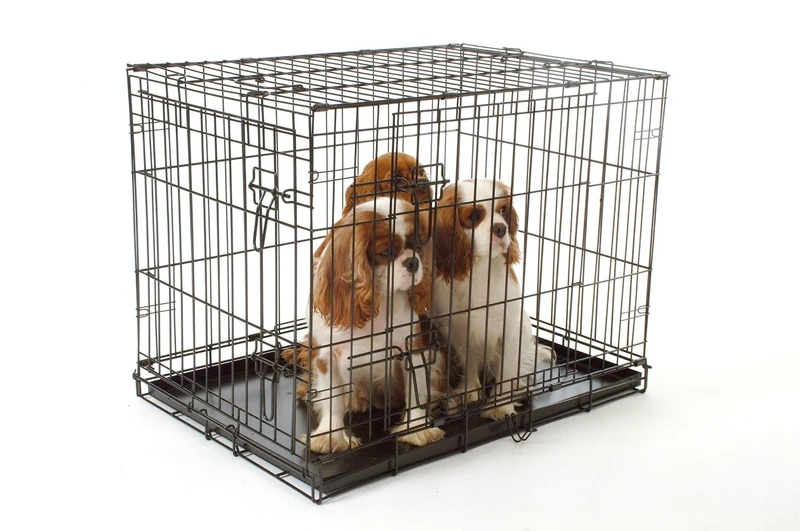 Pet Brands Metal Flat Carrier, Large, 36 x 24 x 27-inch