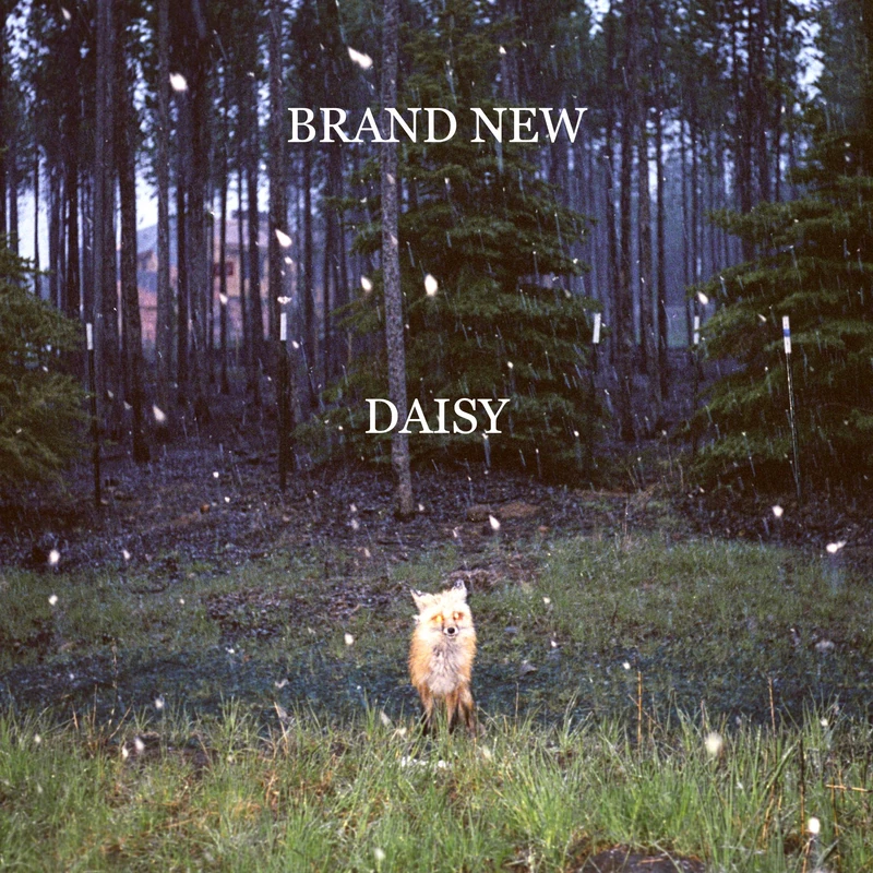 Daisy [VINYL] - Image 1