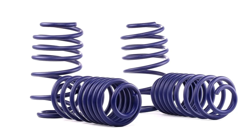 H&R Lowering Springs VAG -45-50mm A3 8P Altea Toledo Octavia Inc RS Jetta Golf V