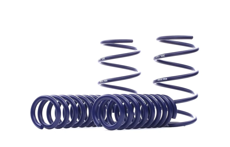 H&R 29076-1 Lowering Springs