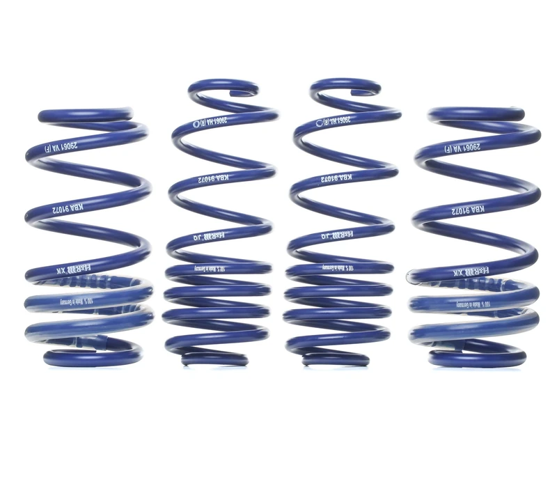 H&R 29061-2 Lowering Springs