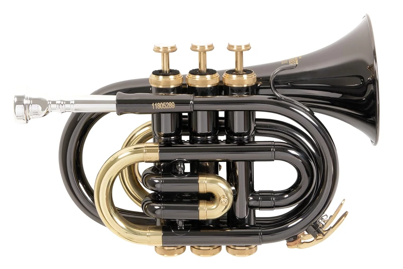 Roy Benson MOD.PT-101K BB Black Lacquered Finish Pocket Trumpet with Light Rectangular Case