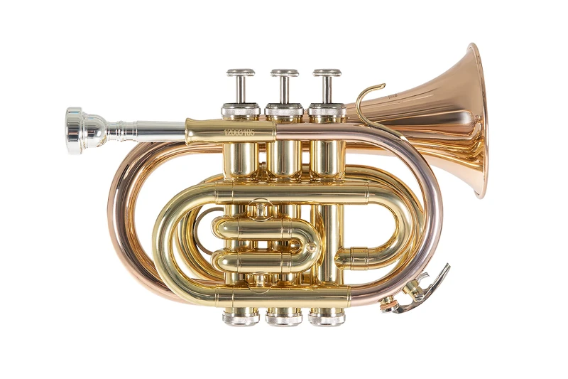 Roy Benson Bb Taschen-Trompete MOD.PT-101G lack. Goldmessing, inkl. Etui