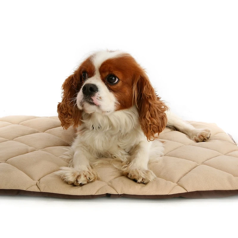 Petlife Flectabed Q Thermal Pet Bedding for Dog/ Cat, 37 x 28-inch, Cream - Image 1