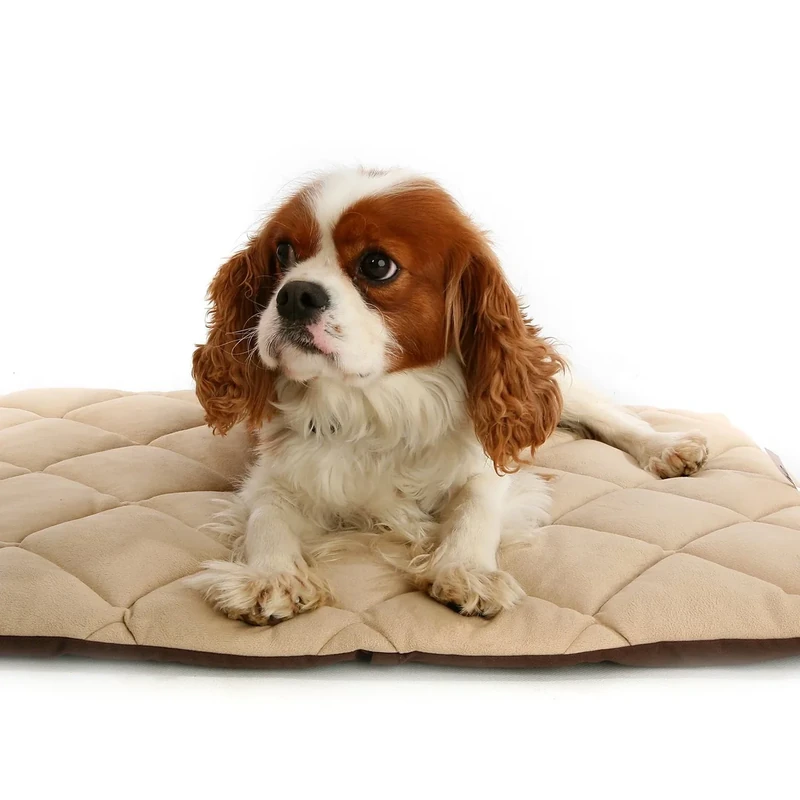 Petlife Flectabed Q Thermal Pet Bedding for Dog/ Cat, 50 x 30-inch, Cream
