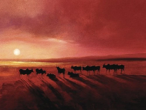 Jonathan Sanders "Zebu At Dusk Canvas Print, Multi-Colour, 60 x 80 cm - Image 1