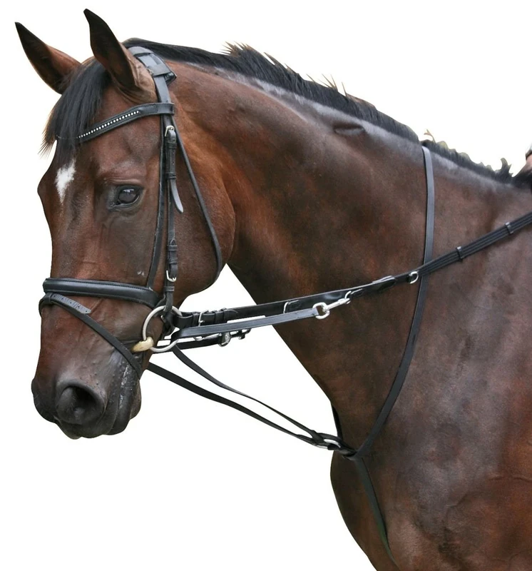PFIFF Enrênement Thiedeman black black Size:Full/Warmblut - Image 1
