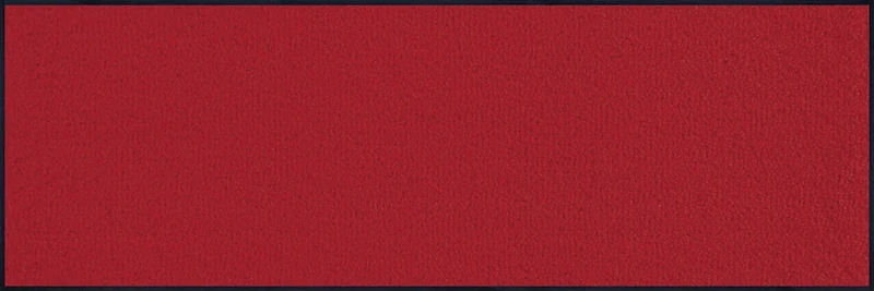 Door Mat Red 60x180 cm red