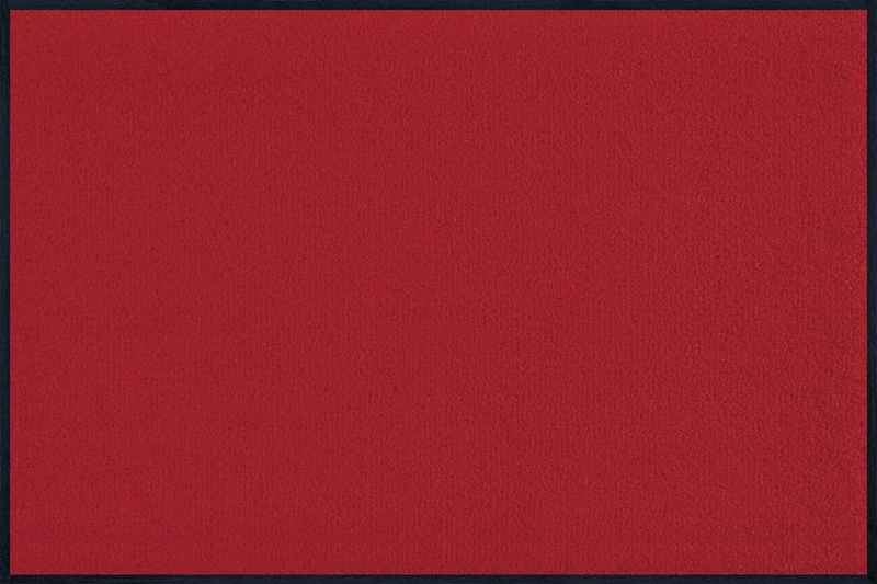 Door Mat Red 60x90 cm red