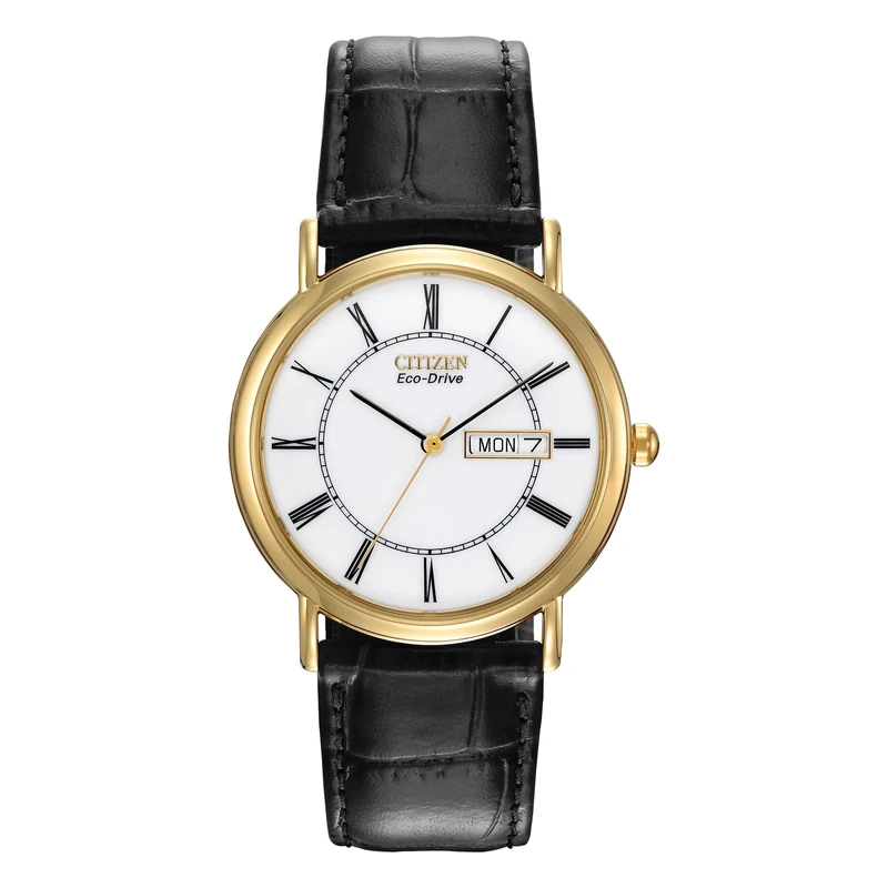 Citizen Eco-Drive Gents' Strap Watch, Solar Powered BM8242-16A