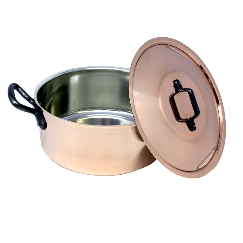 BAUMALU Stew Pot with Lid, Diameter-22Cm, Mult-Color