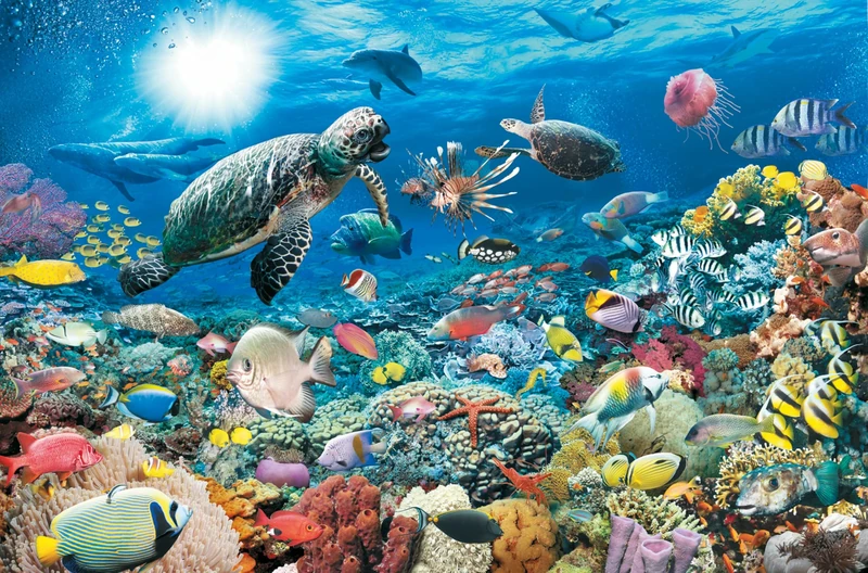 Ravensburger Underwater Tranquility Jigsaw Puzzle (5000-Piece)