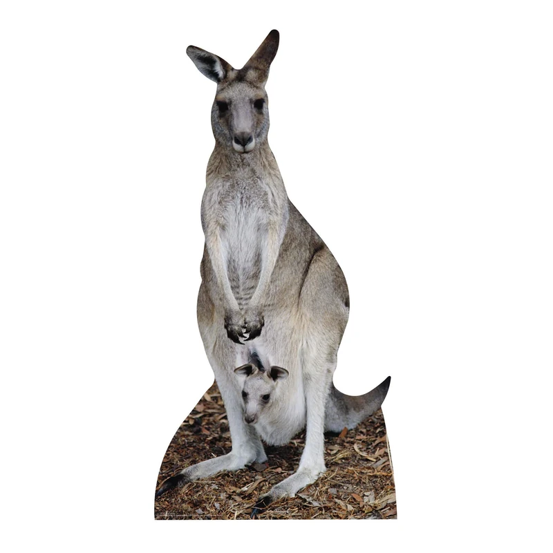 Star Cutouts Kangaroo Cardboard Cutout – Great Australian Theme Party Decoration & Wildlife Display