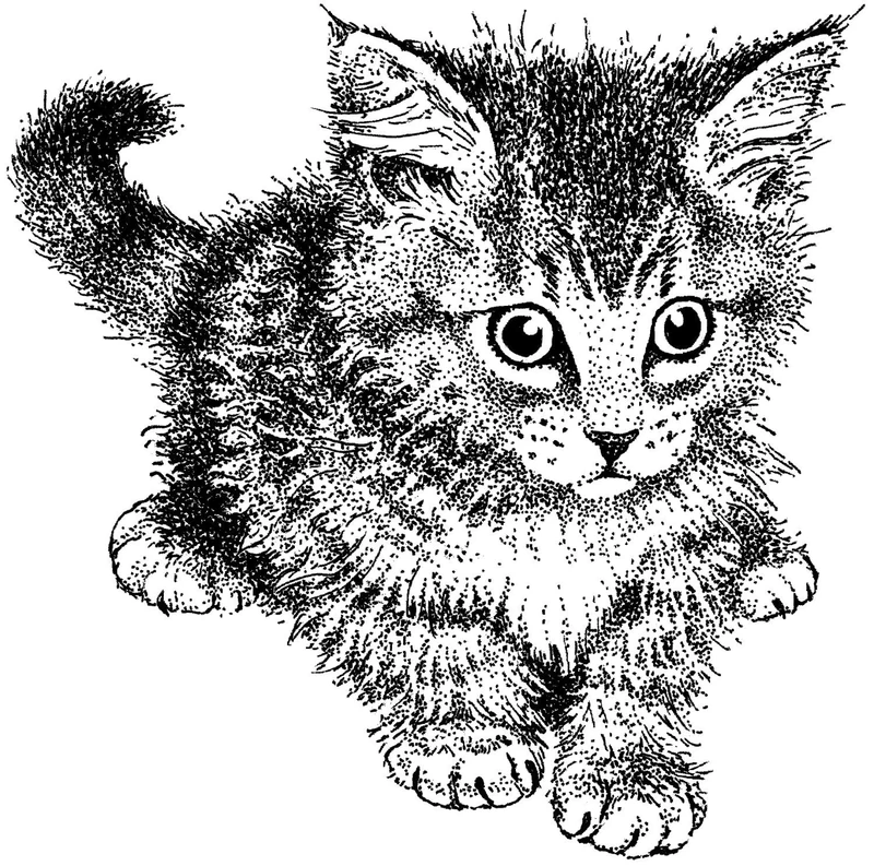 Artemio Rubber Stamp Cat PEE2599, Wood - Image 1