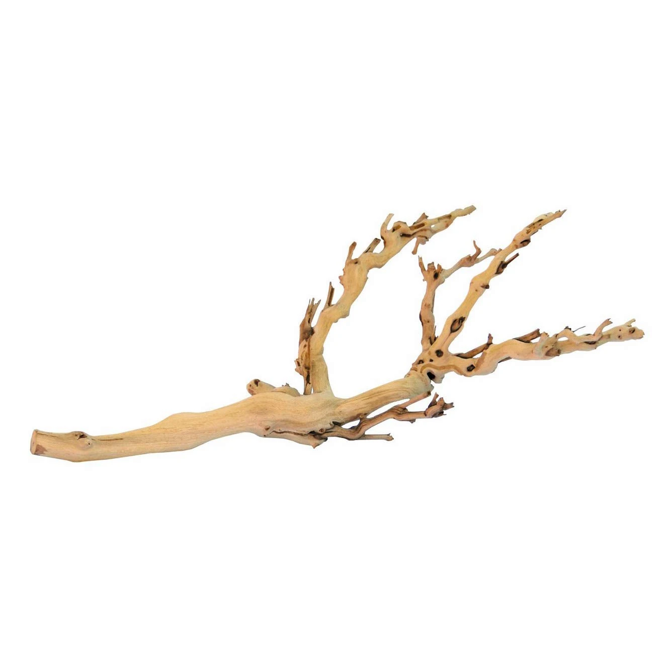 Exo Terra Forest Branch, Medium (Exact Size May Vary)