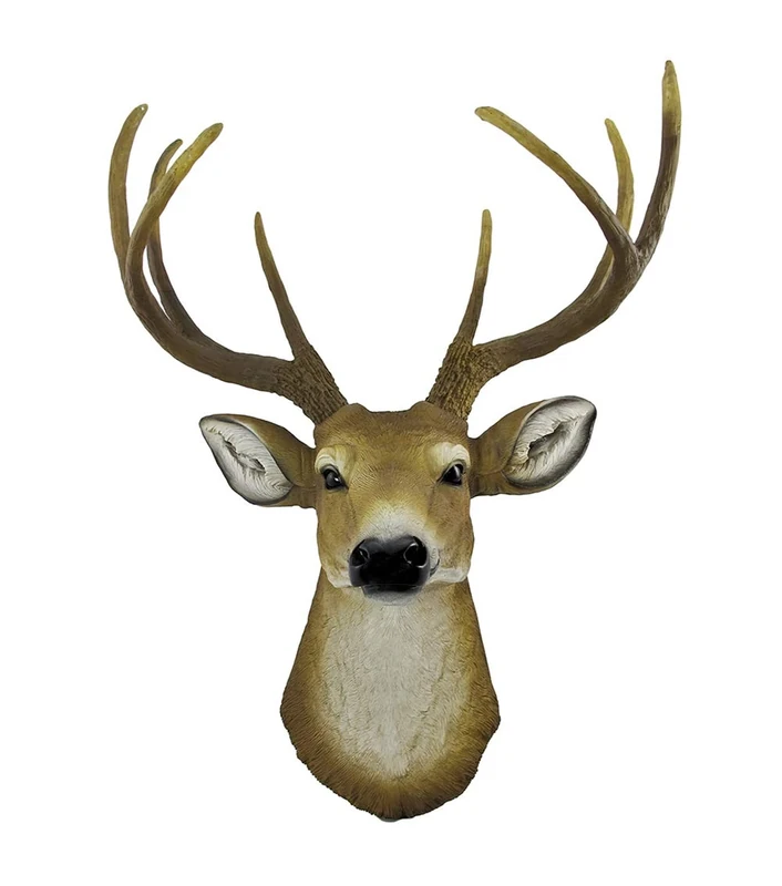 DWK 8 Point Buck Deer Head Bust Wall Hanging