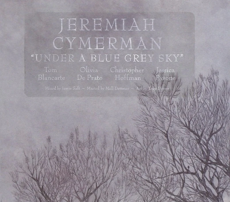 Under A Bluegray Sky