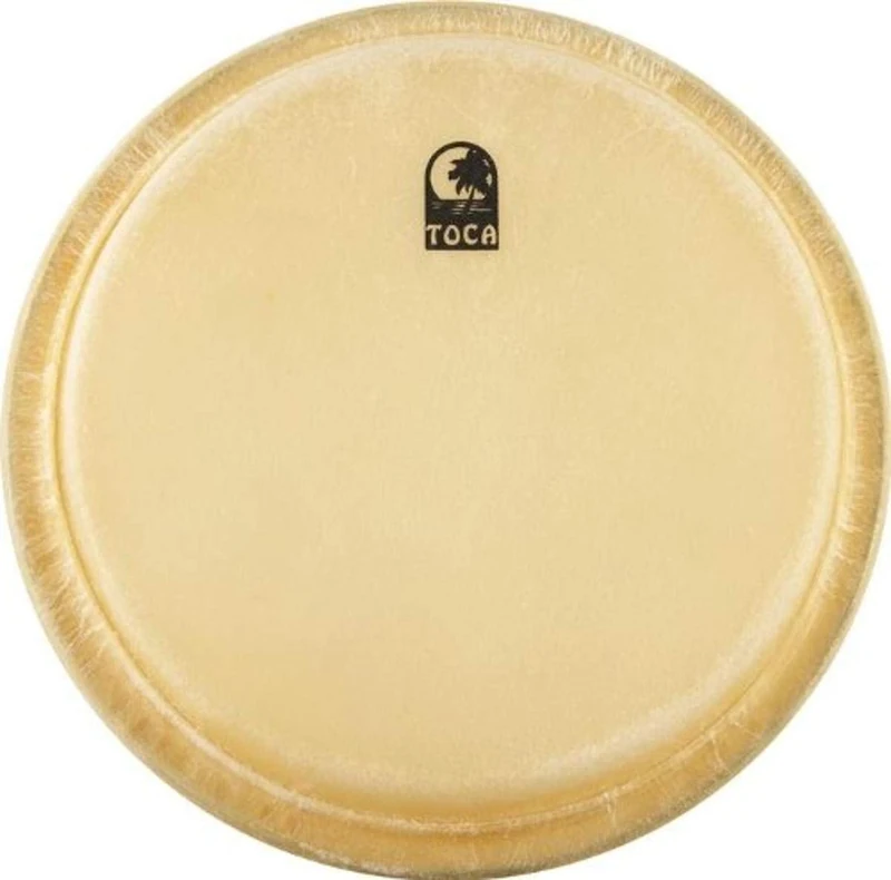 Toca 11" Conga Head for Players/Elite TP-20111