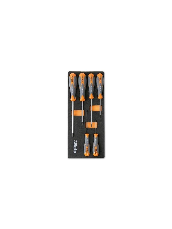 Beta 24500172 Model 2450 M172 6 Tools in Hard Thermoformed Tray