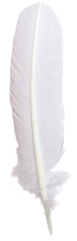 Jacques Herbin 23101T - Quill pen 28 cm white X 10