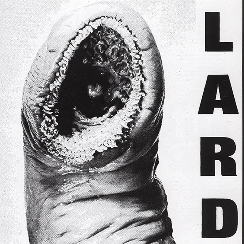 Power Of Lard - Alternative Tentacles Indie Music Digital - Image 1