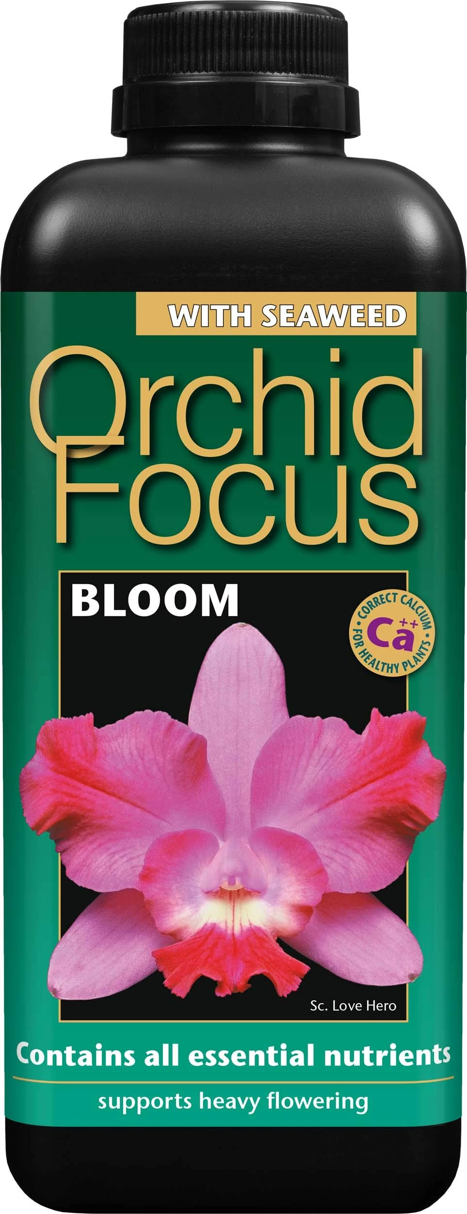 Growth Technology Ltd GTOFB1 Orchid Focus Bloom,1 Litre