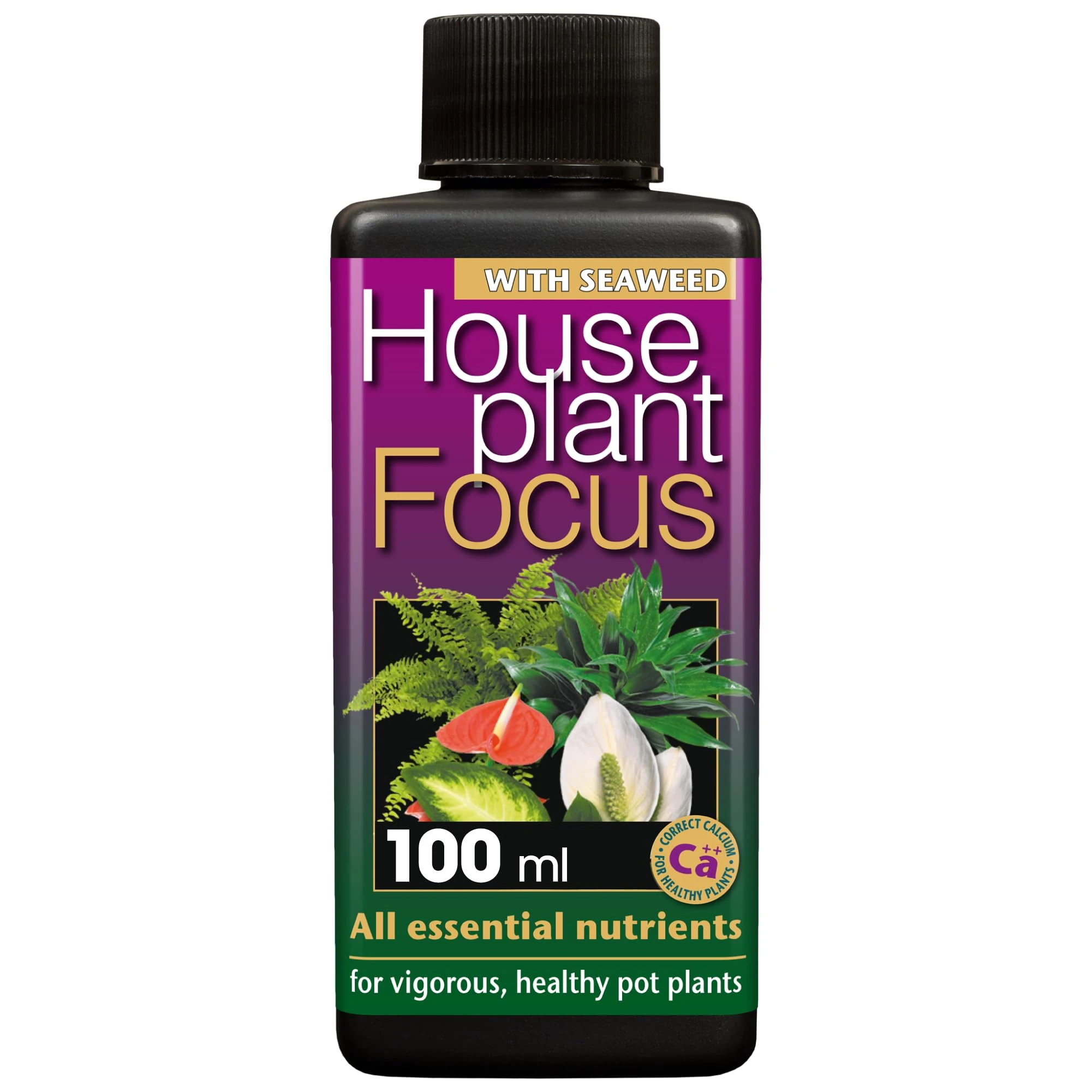 Houseplant Focus Liquid Concentrated Fertiliser, 100ml - Growth Technology Fertiliser for Indoor Plants - Professional Grade House Plant Food