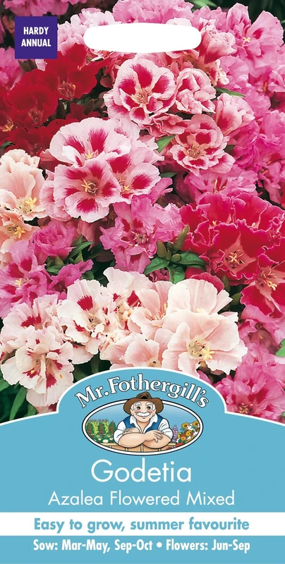 Mr Fothergill's GODETIA Azalea Flowered Mixed