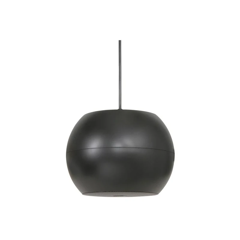Wide Dispersion Spheroid 2-Way Pendant Speaker | Black 5"